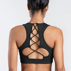 Delphi Sports Bra