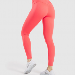 TRAINING MESH LEGGINGS