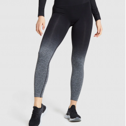  SEAMLESS LEGGINGS