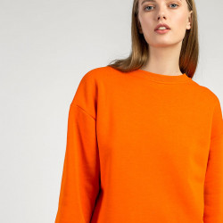 Women sweatshirt Pumpkin