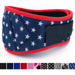 Fitplicity Sports Gear Weightlifting Belt for Men and Women