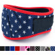 Fitplicity Sports Gear Weightlifting Belt for Men and Women